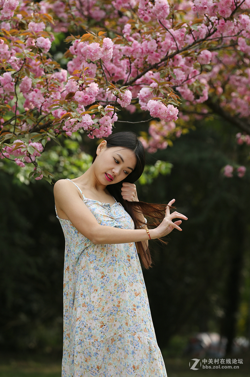 带来美女，贺“浩月长弓”好友侨乡星空(中国)再挑重担