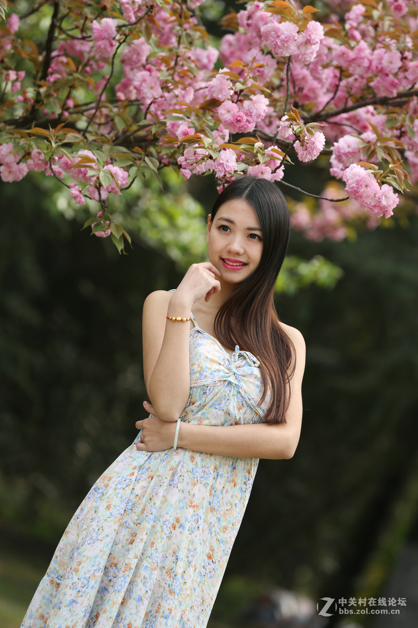 带来美女，贺“浩月长弓”好友侨乡星空(中国)再挑重担