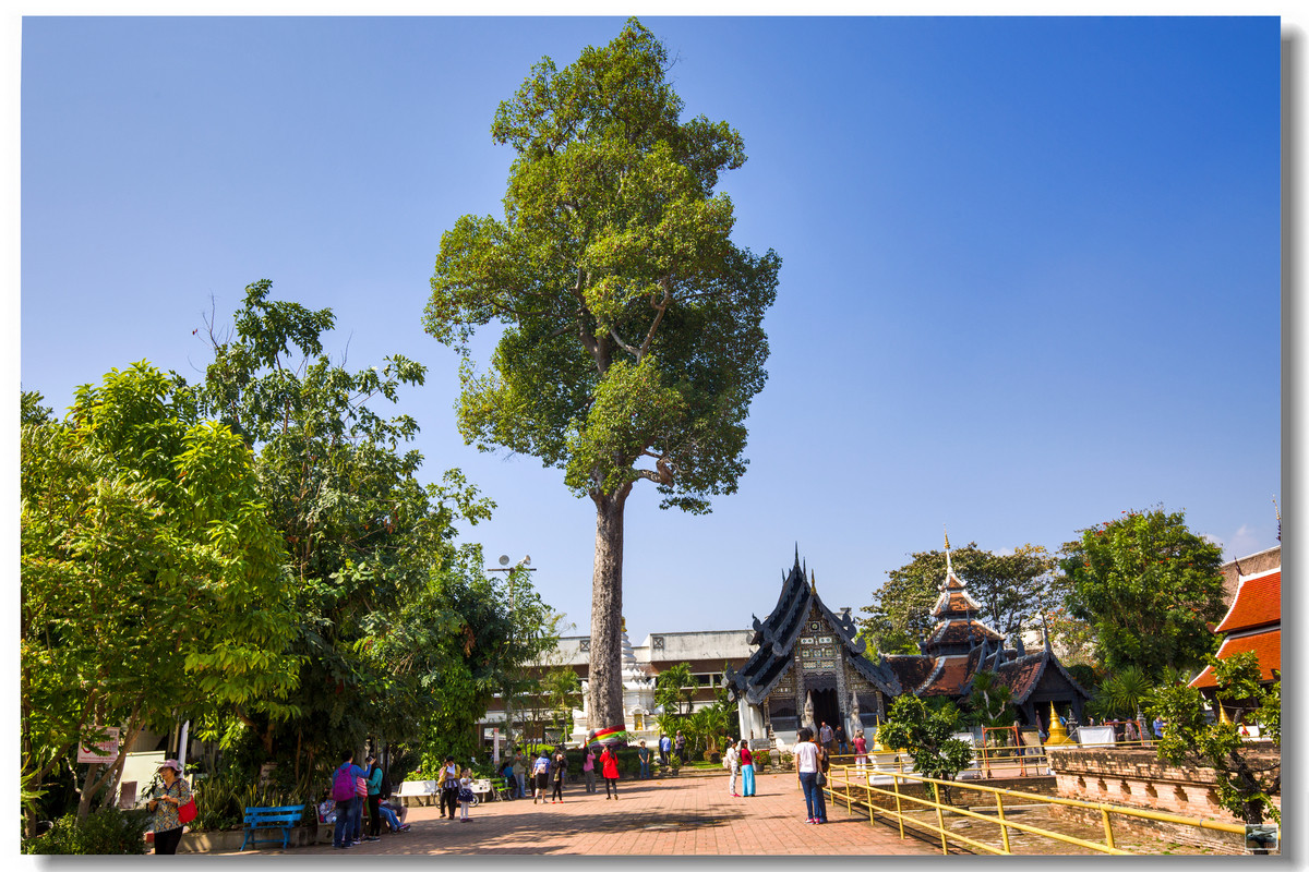 泰国清迈契迪龙寺