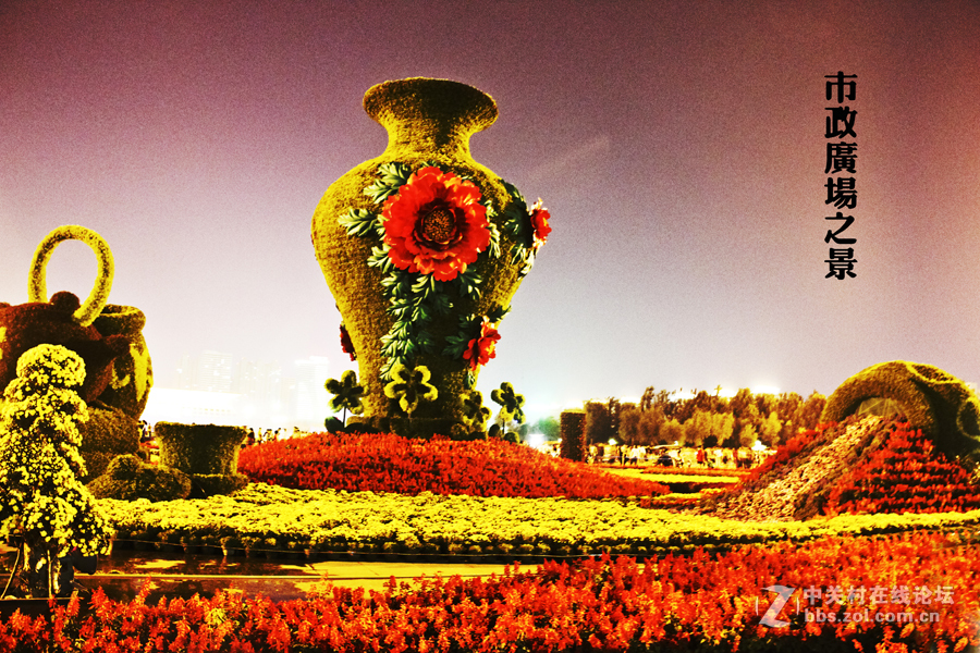 国庆節的夜晚[安阳市]