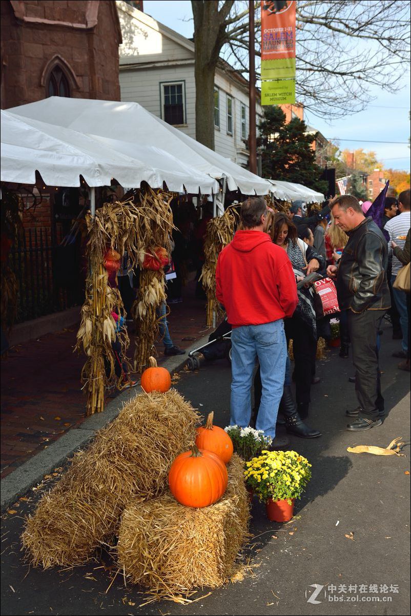 休闲随拍（332）