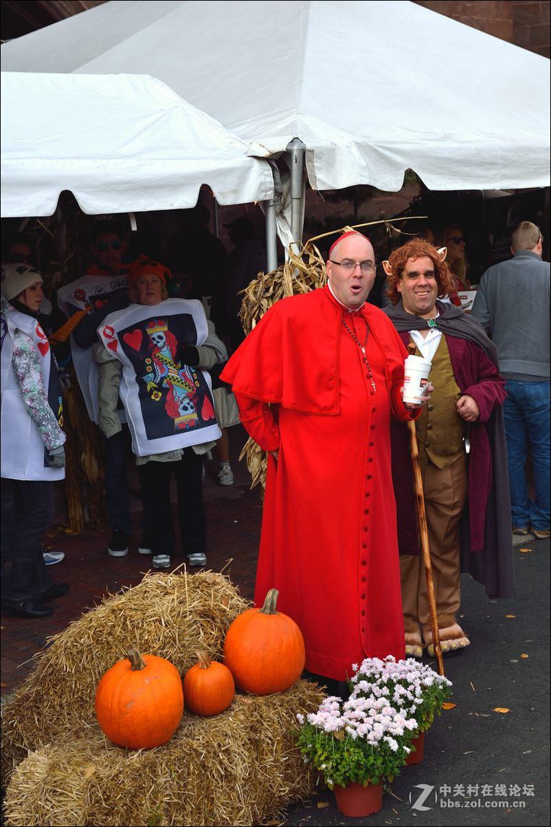 休闲随拍（332）