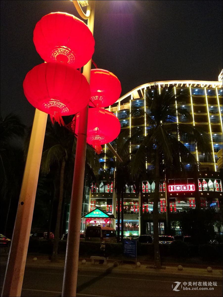 休闲随拍（351）