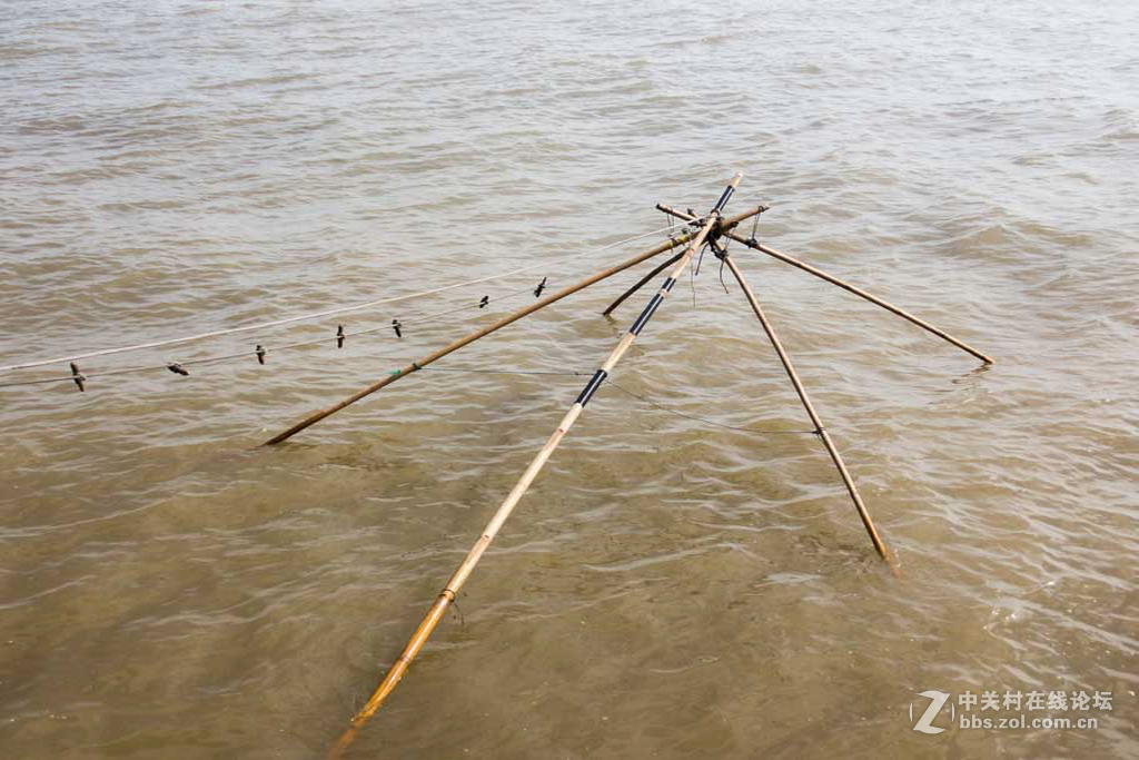 记实海滨之光【6】