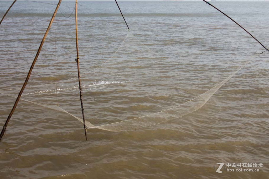 记实海滨之光【6】