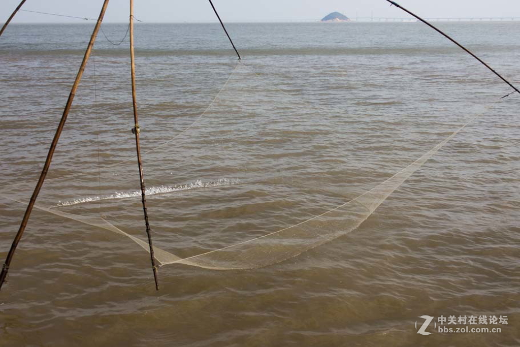 记实海滨之光【6】