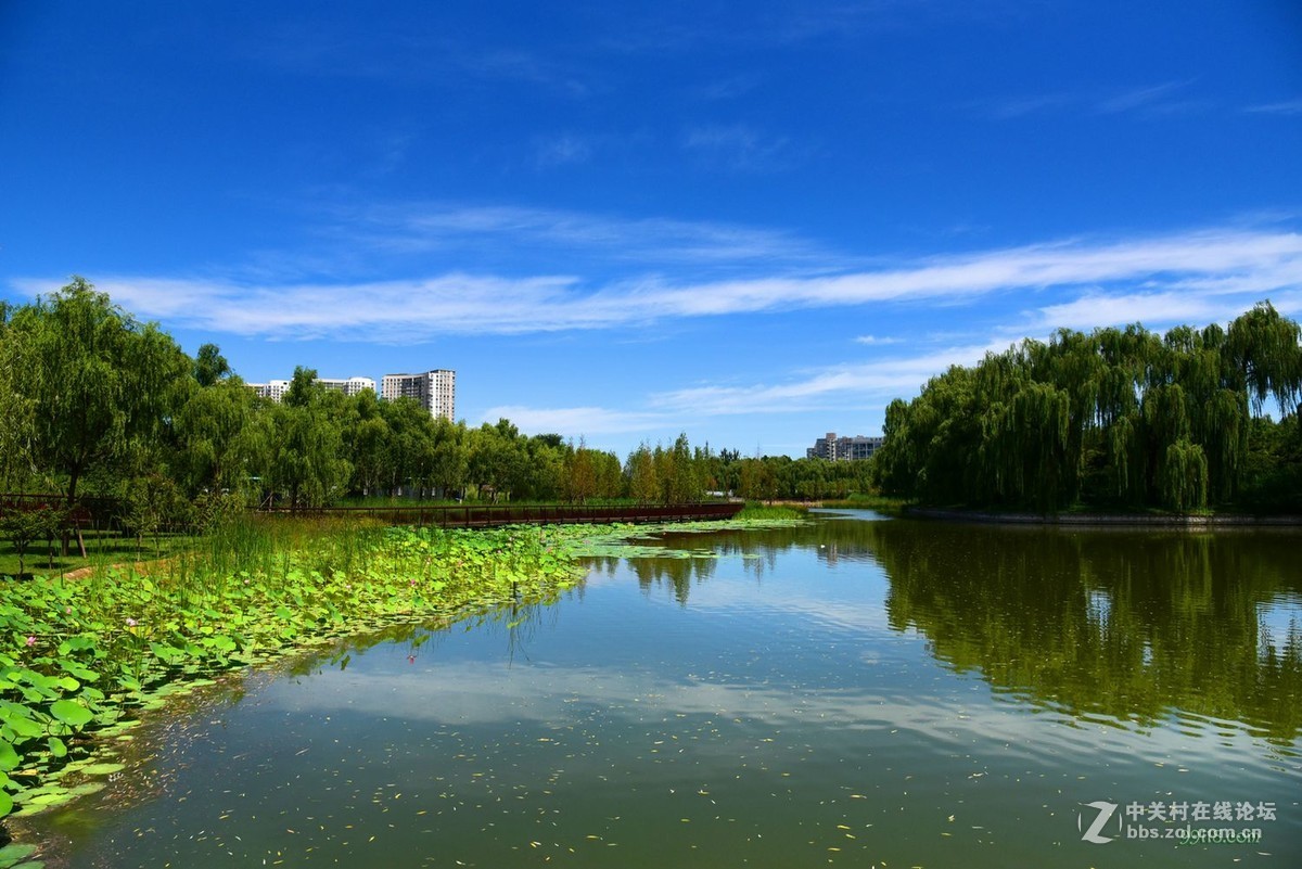 清凉一下公园跑跑随手拍拍01