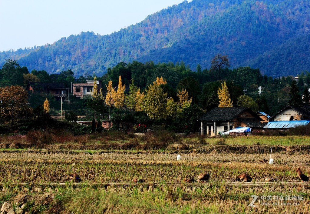 故园秋色我为家乡代言湖南祁阳县潘市镇下七渡