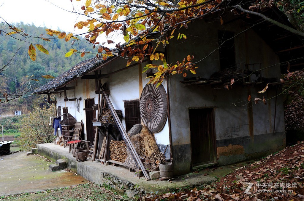 故园秋色我为家乡代言湖南祁阳县潘市镇下七渡