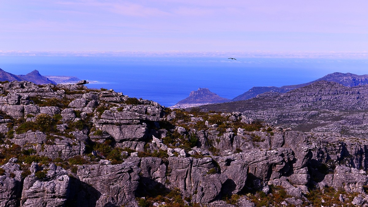 南非开普敦桌山风光2
