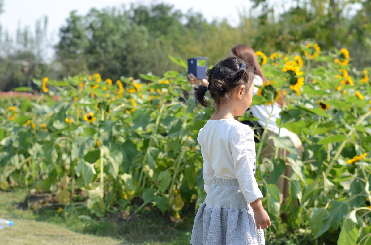 生活追随着光明，穷极一生只望最初的梦想