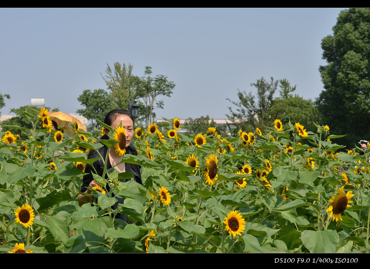 生活追随着光明，穷极一生只望最初的梦想