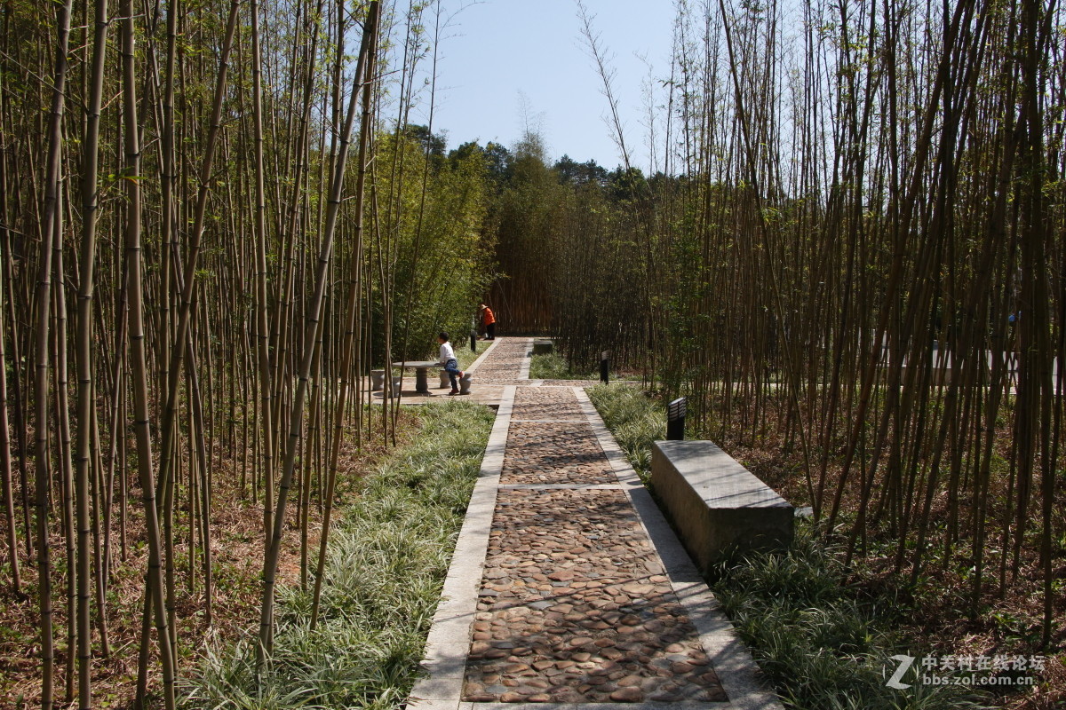 神光山4Ａ级森林公园随拍