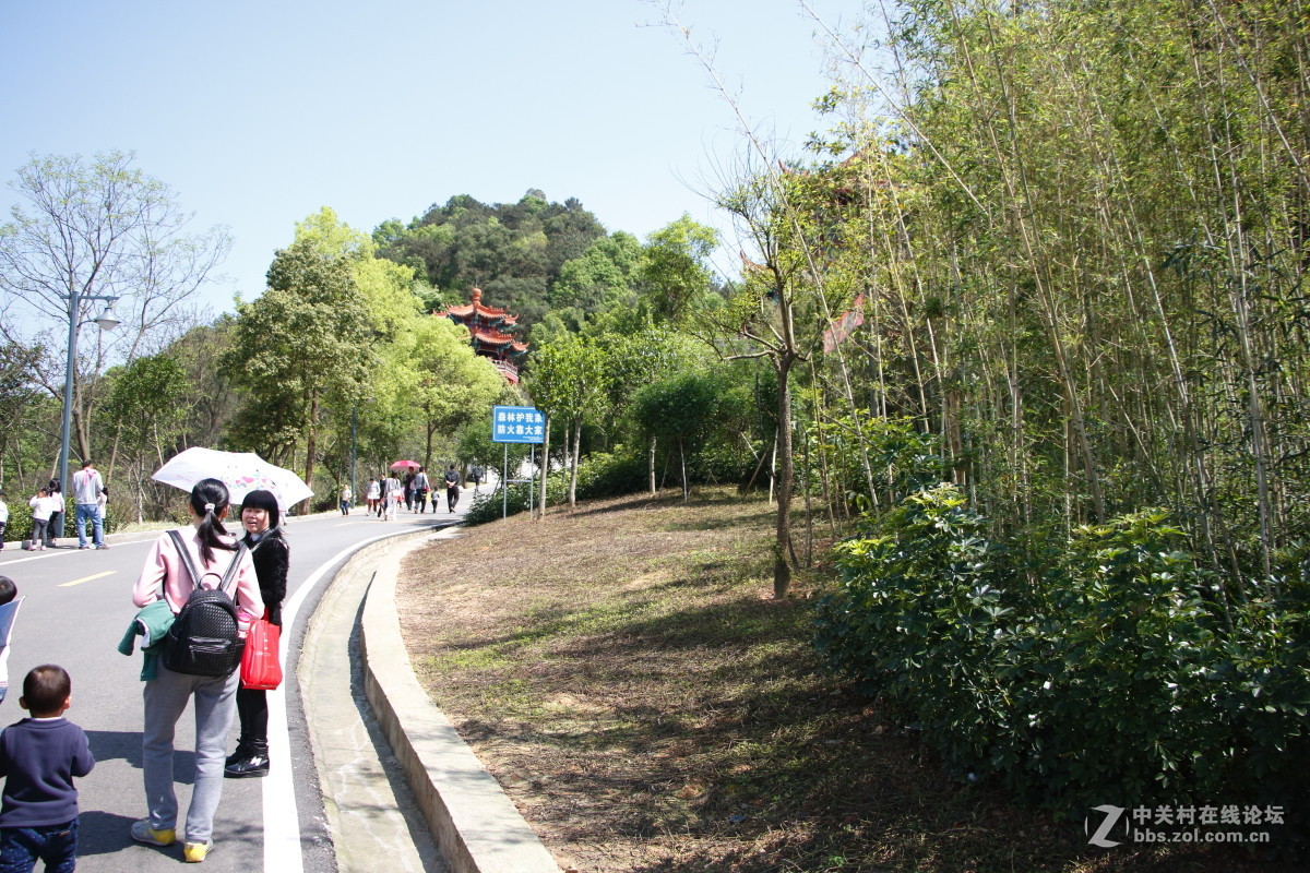 神光山4Ａ级森林公园随拍