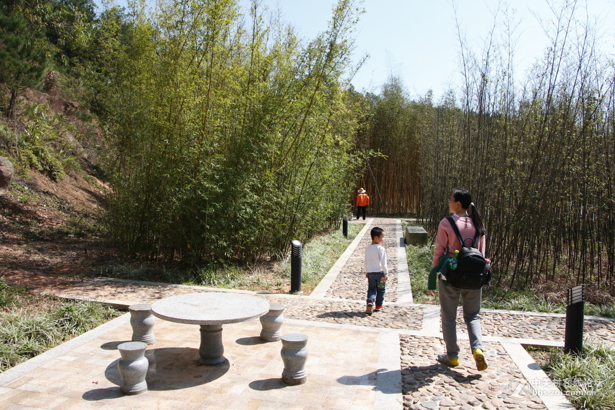 神光山4Ａ级森林公园随拍