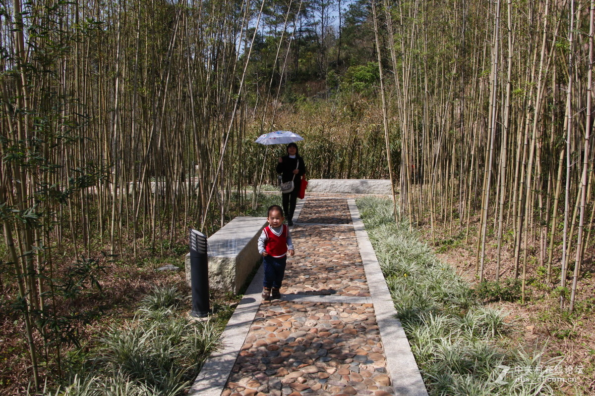 神光山4Ａ级森林公园随拍