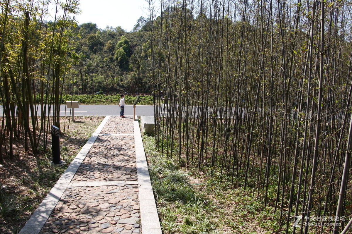 神光山4Ａ级森林公园随拍