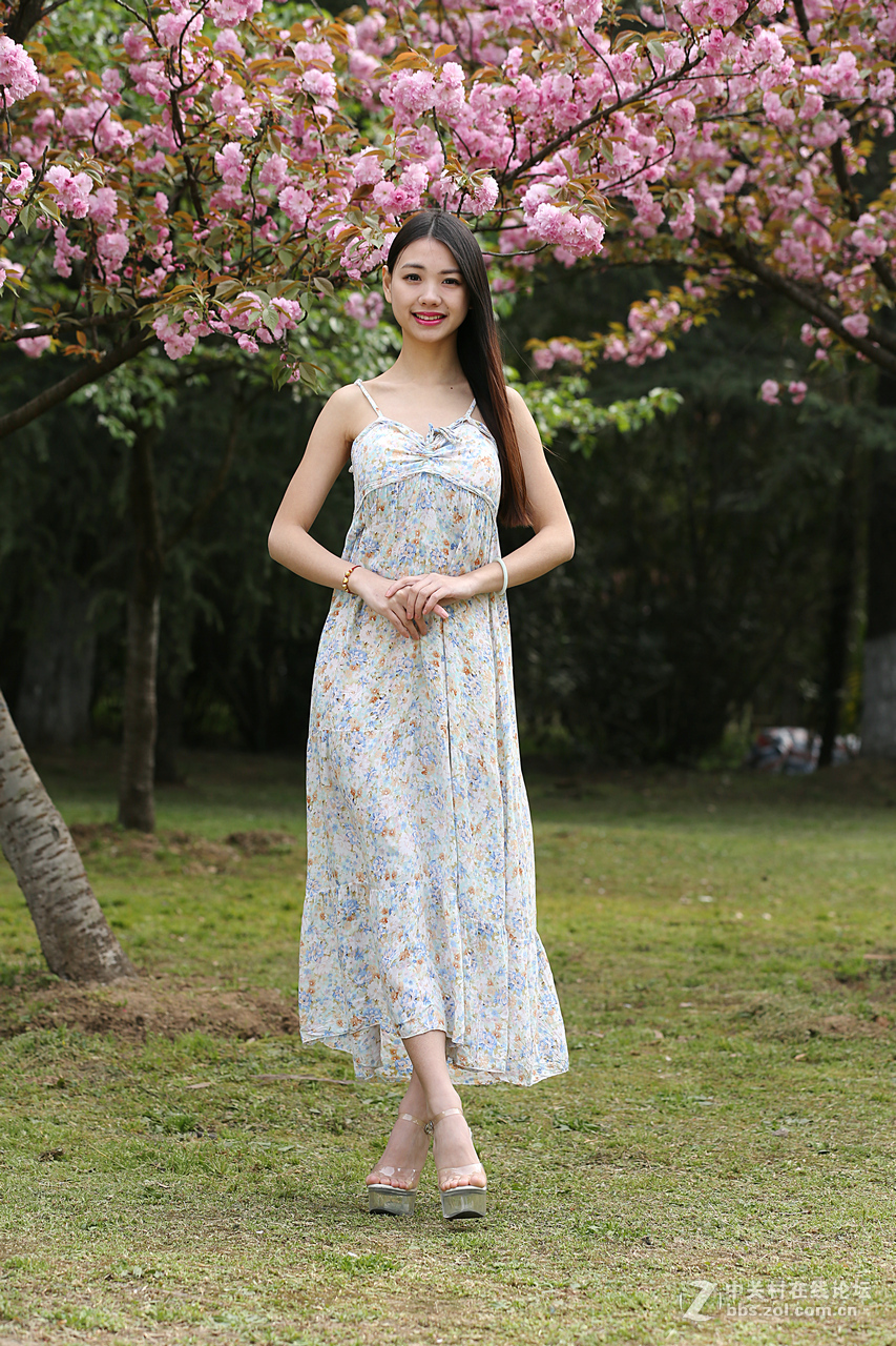 带来美女，贺“浩月长弓”好友侨乡星空(中国)再挑重担