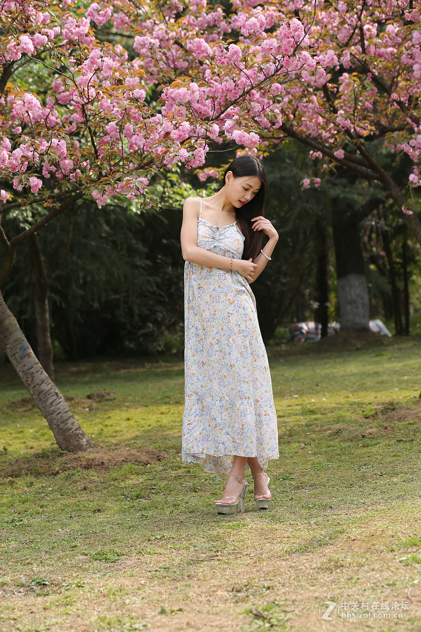 带来美女，贺“浩月长弓”好友侨乡星空(中国)再挑重担