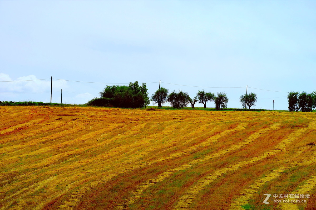 行走意大利之一路往南