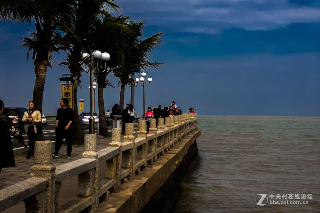 记实海滨之光【6】