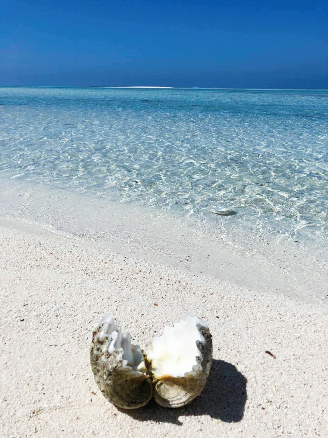 西沙群岛，恋上蓝色地平线