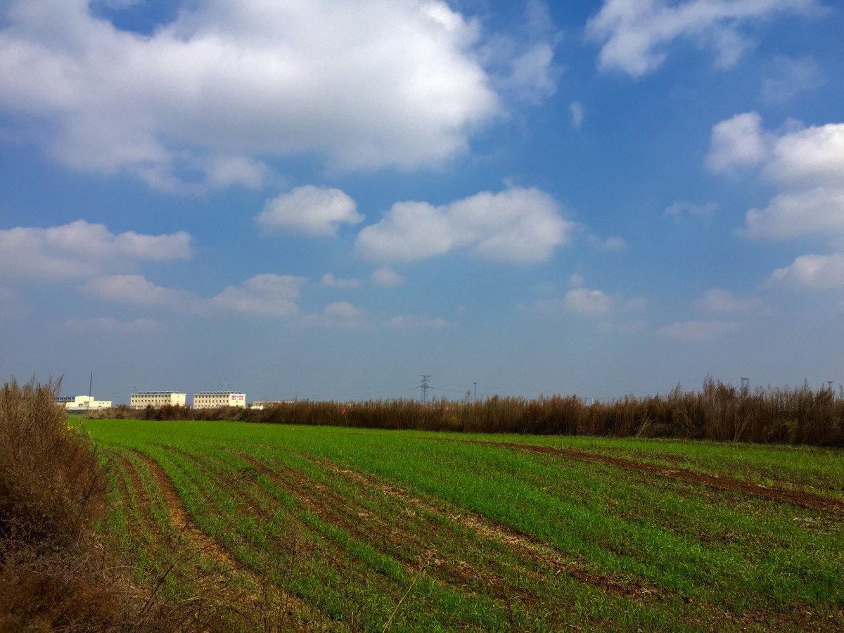 发发图，互相学习