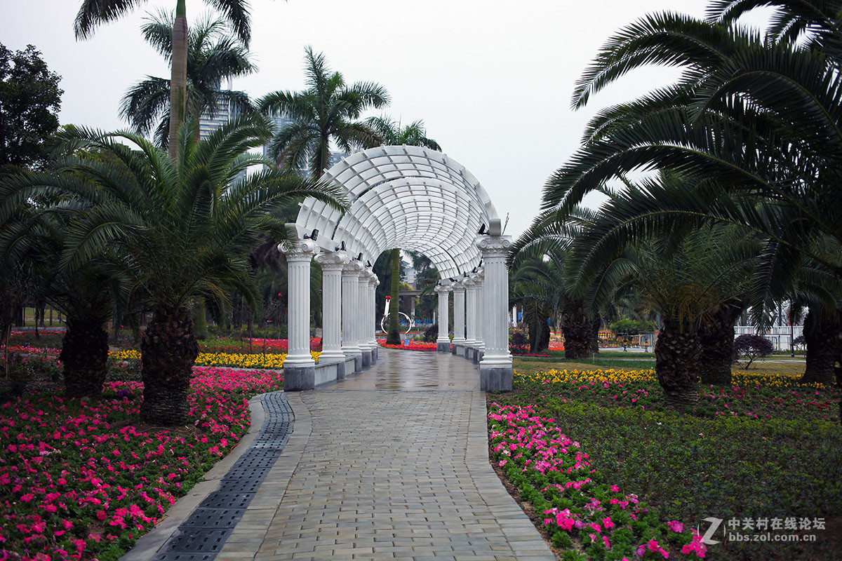 文华公园添新颜