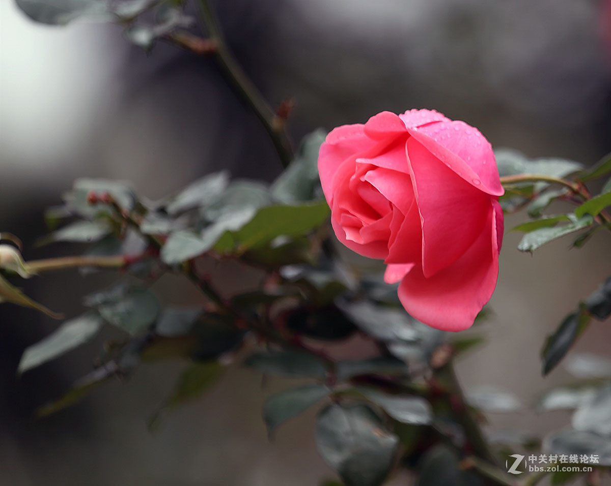 文华公园添新颜