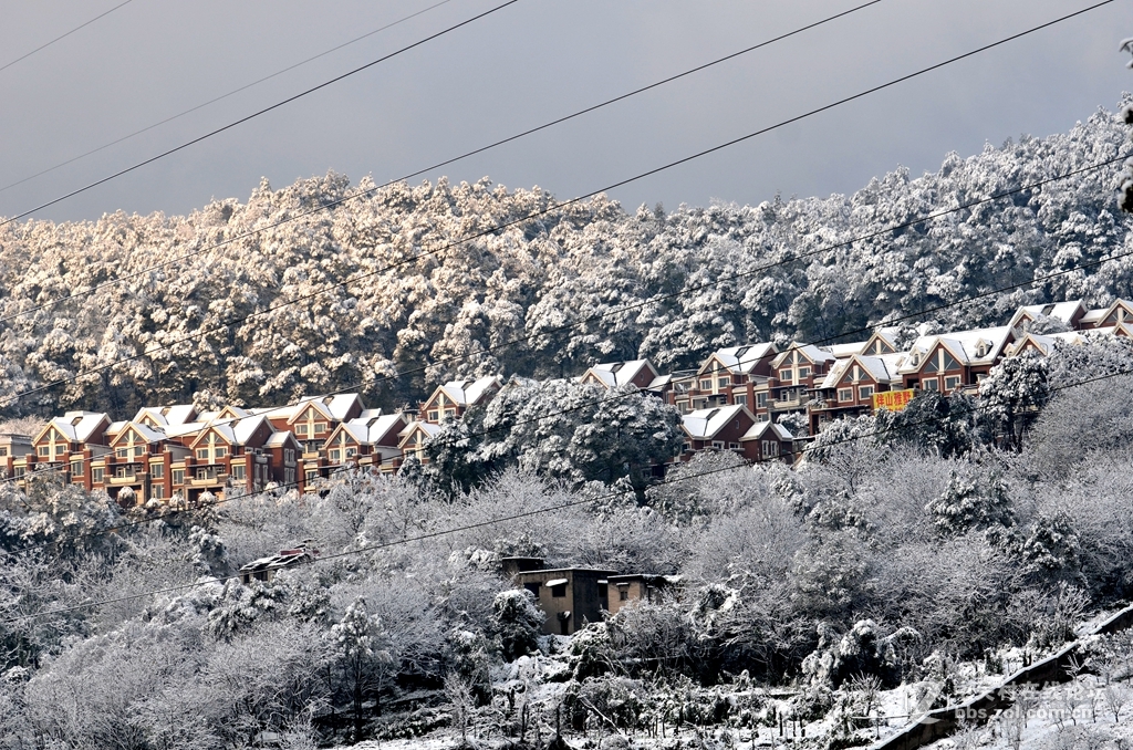 时隔20多年重庆主城下大雪
