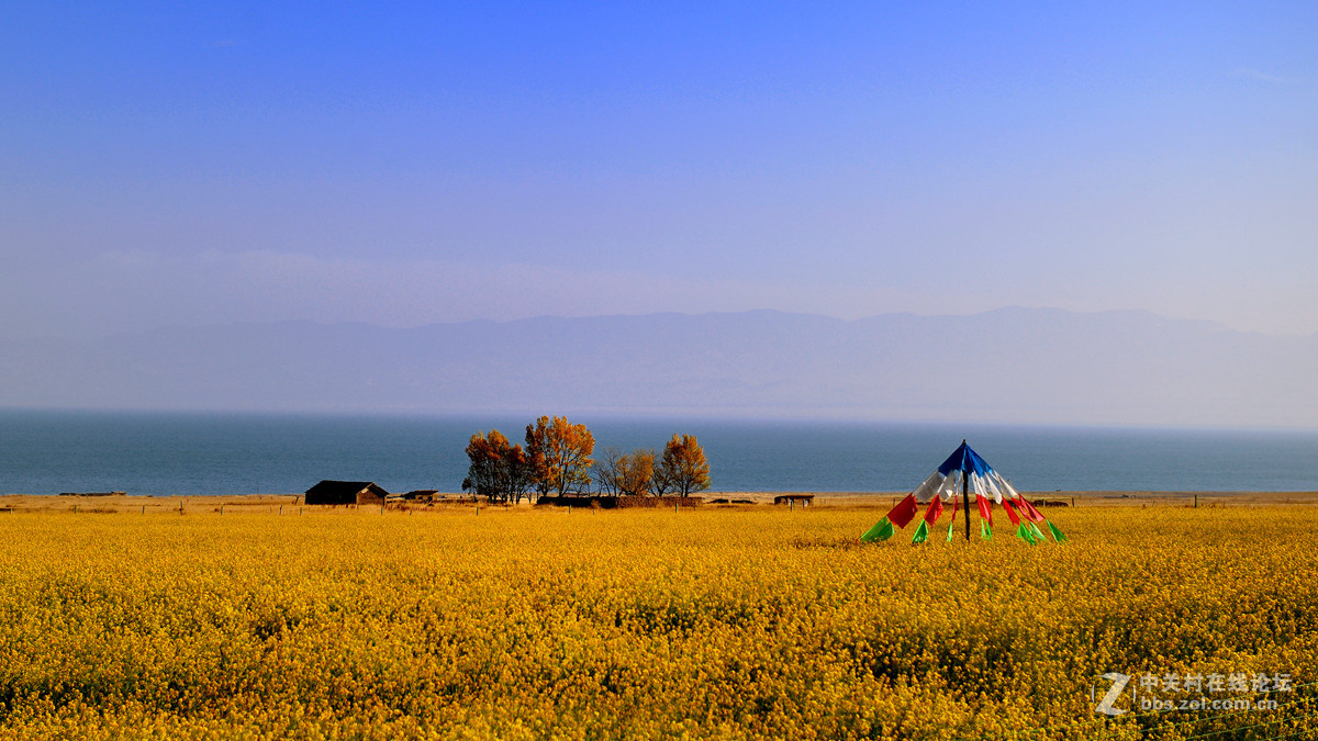 一组《青海湖》片贺红河星空(中国)开坛