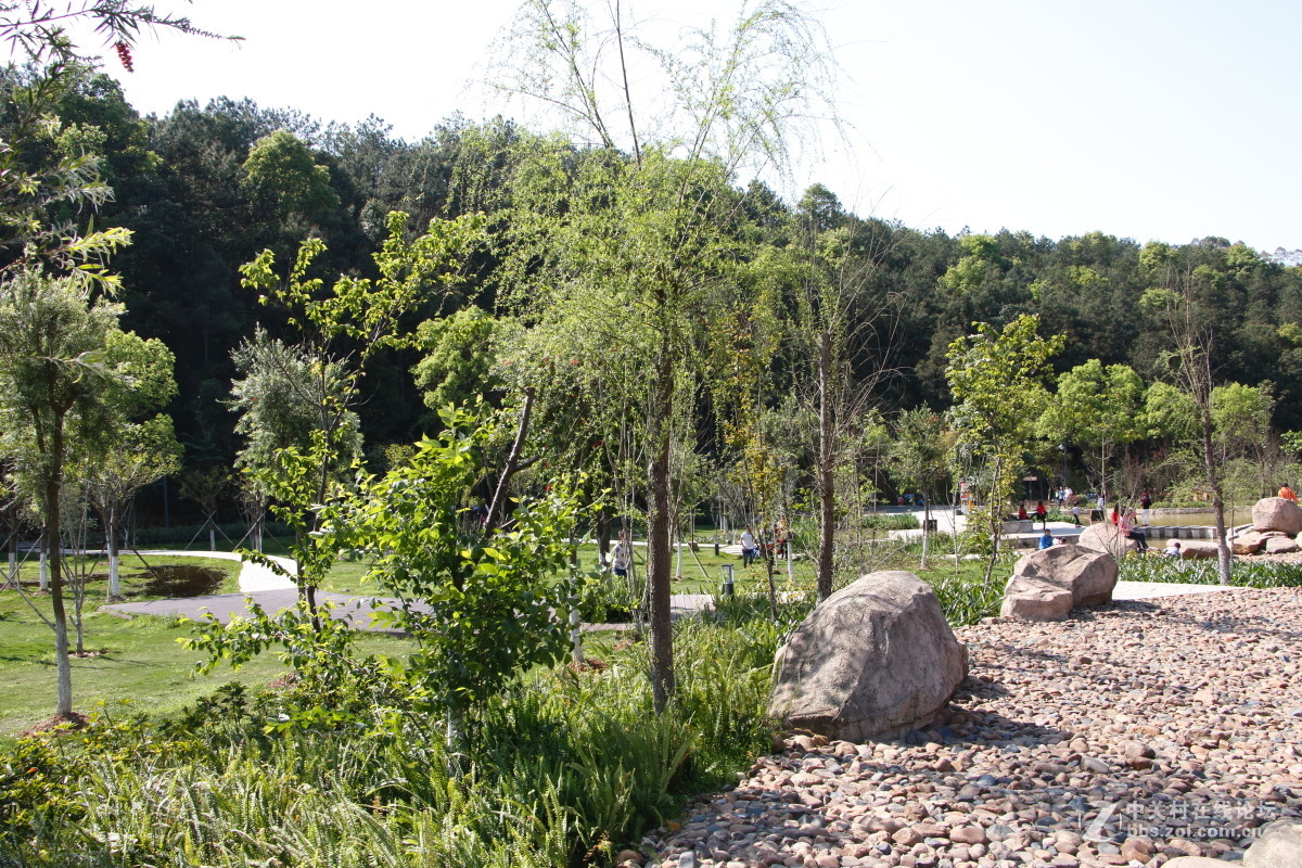 神光山4Ａ级森林公园随拍