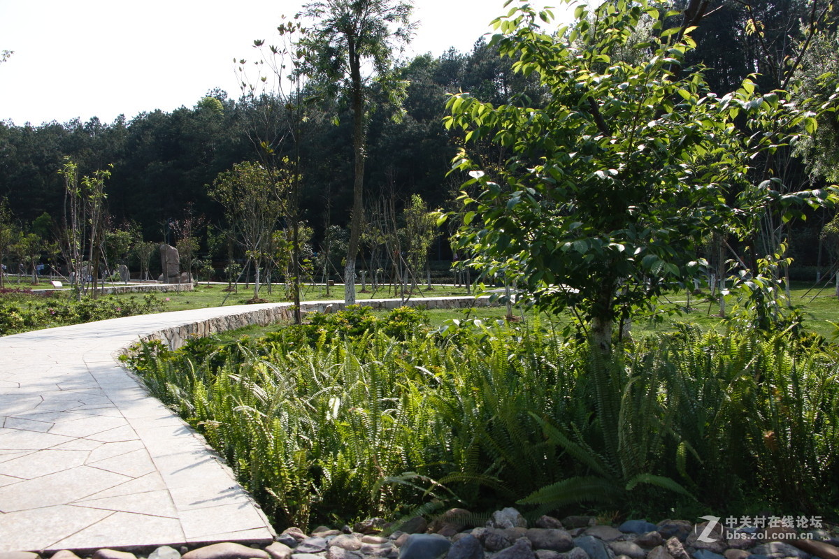 神光山4Ａ级森林公园随拍