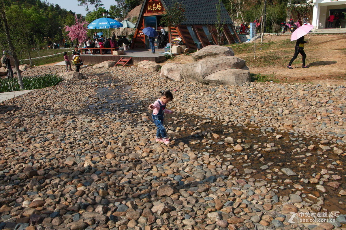 神光山4Ａ级森林公园随拍