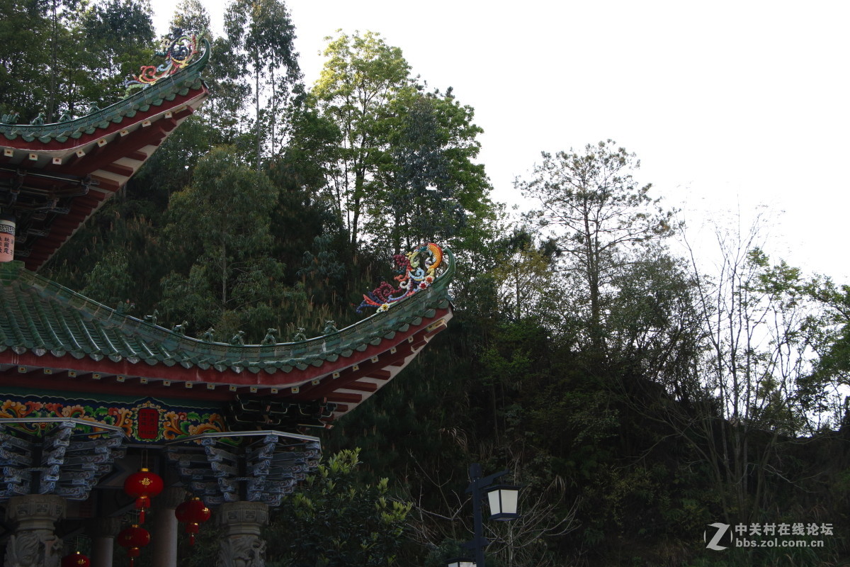 神光山4Ａ级森林公园随拍