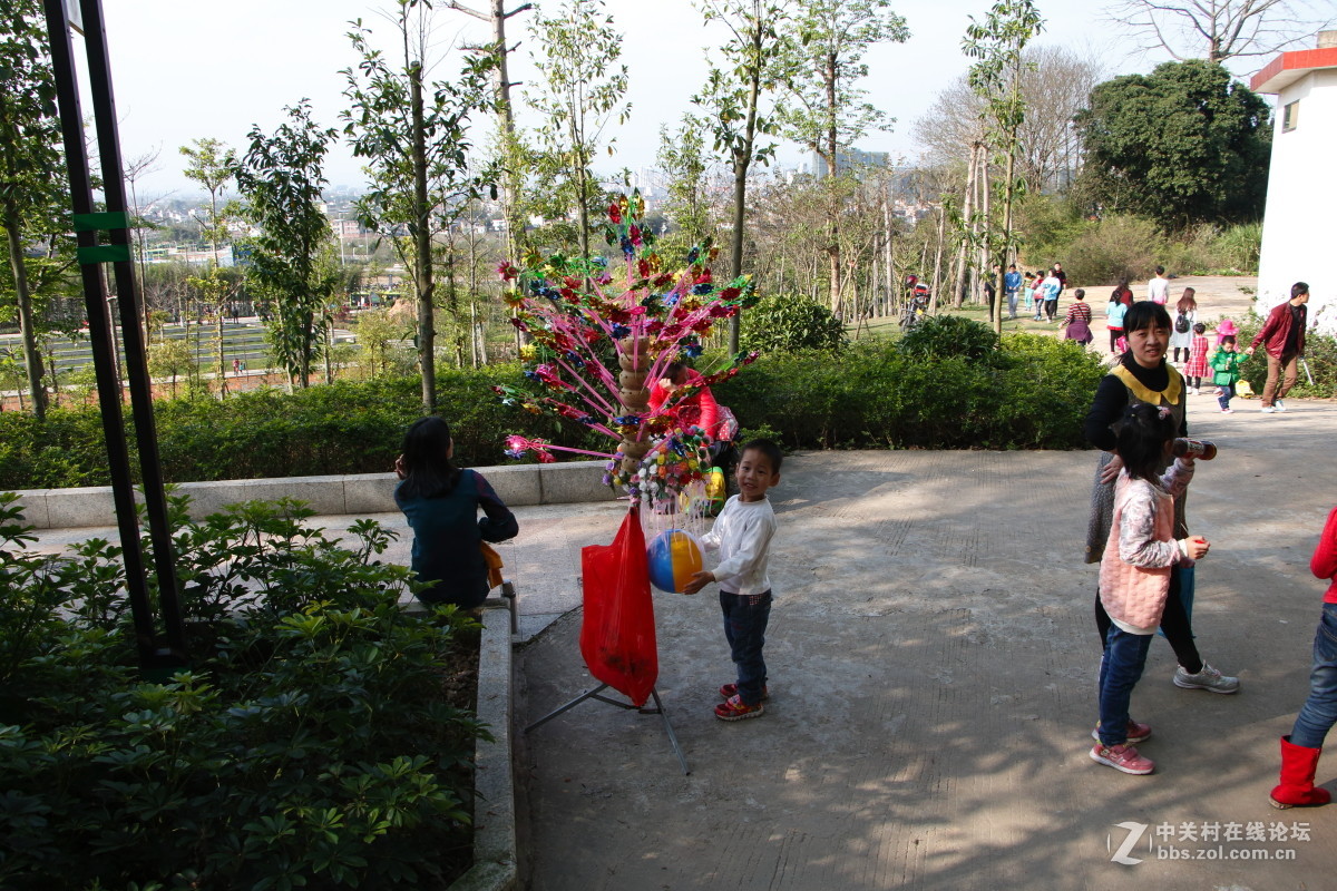 神光山4Ａ级森林公园随拍