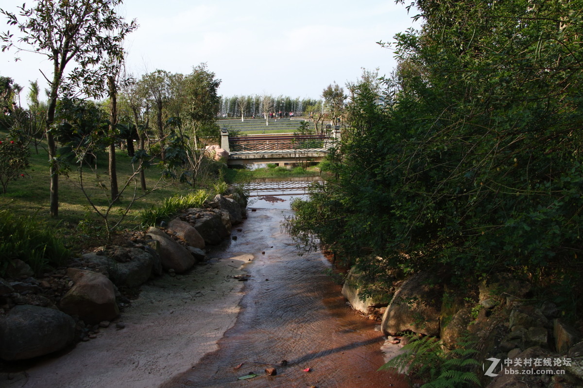 神光山4Ａ级森林公园随拍