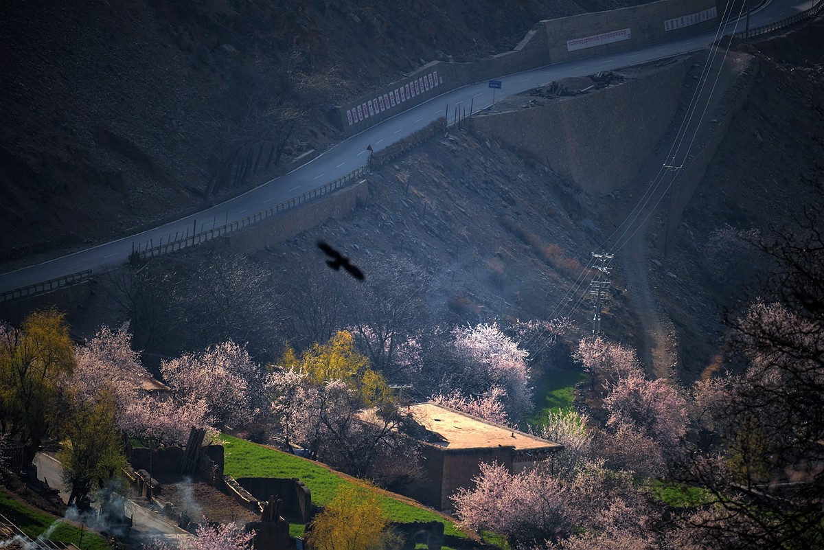 鲜花盛开的村庄---川藏行之觉巴村