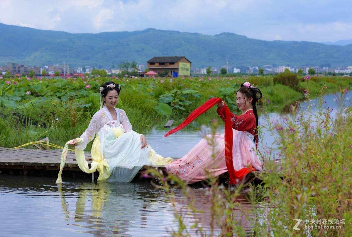 昭通市委党校荷花园摄影