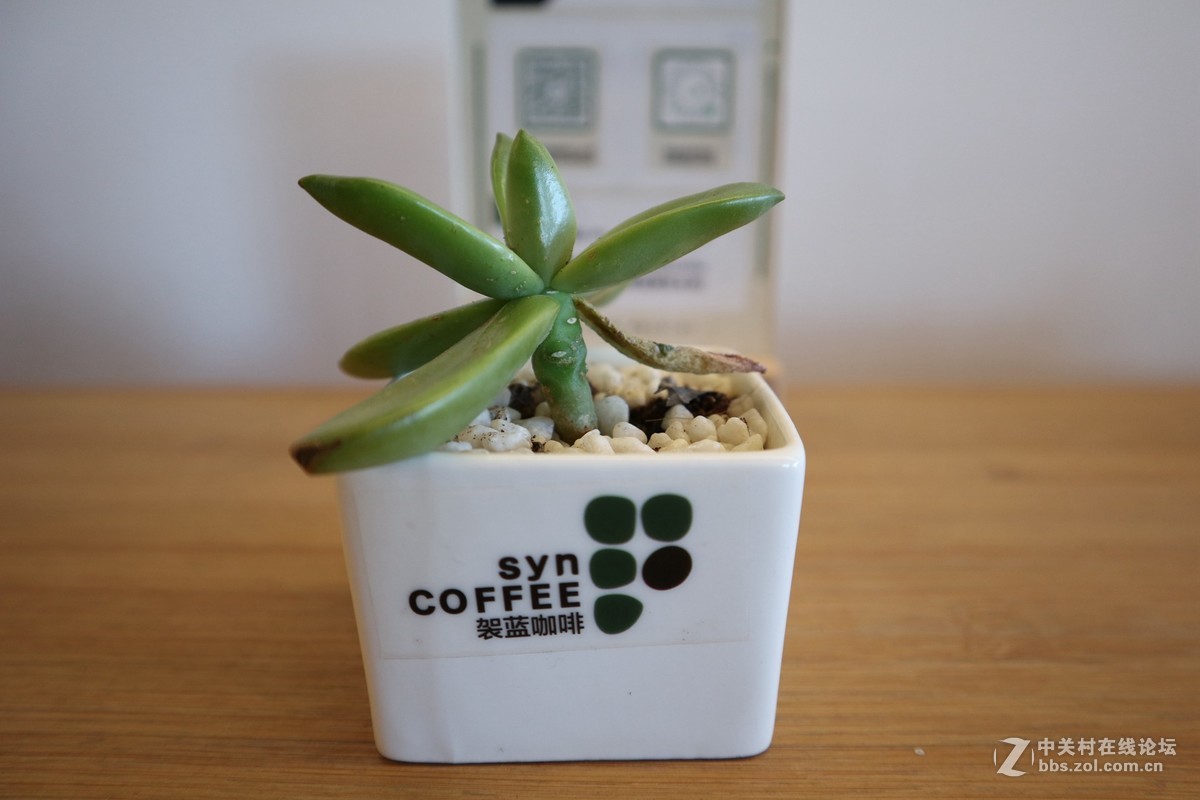 #佳能/这个春节，值得被记录# 用佳能看见咫尺之美