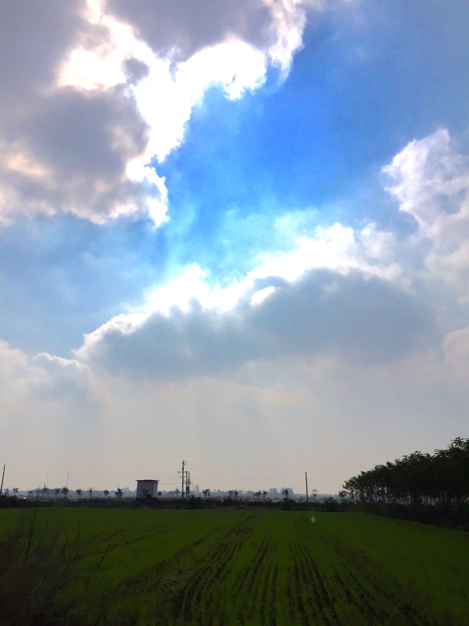 发发图，互相学习