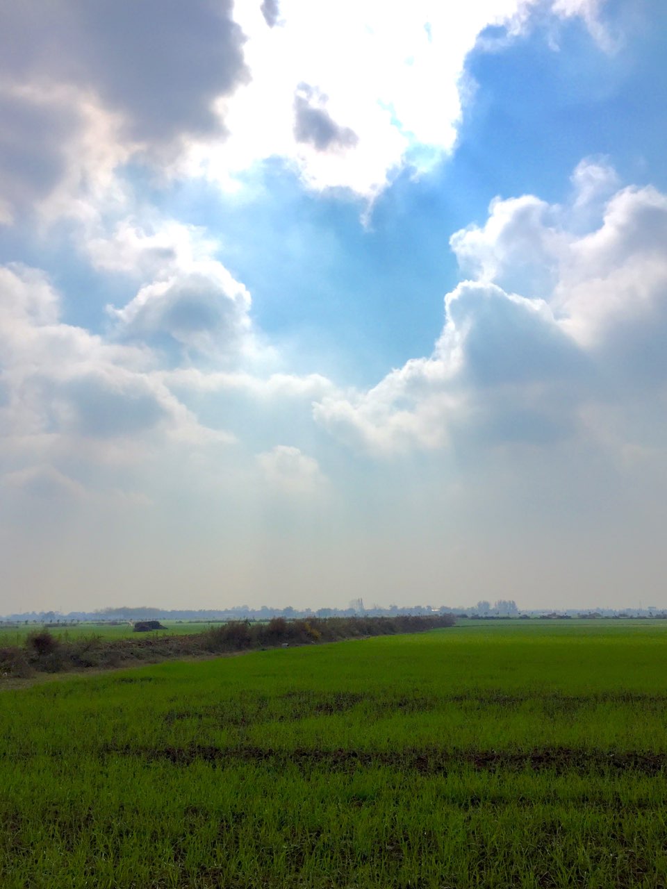 发发图，互相学习