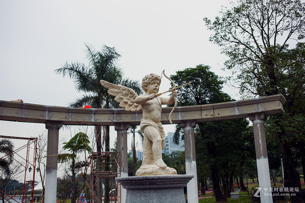 文华公园添新颜