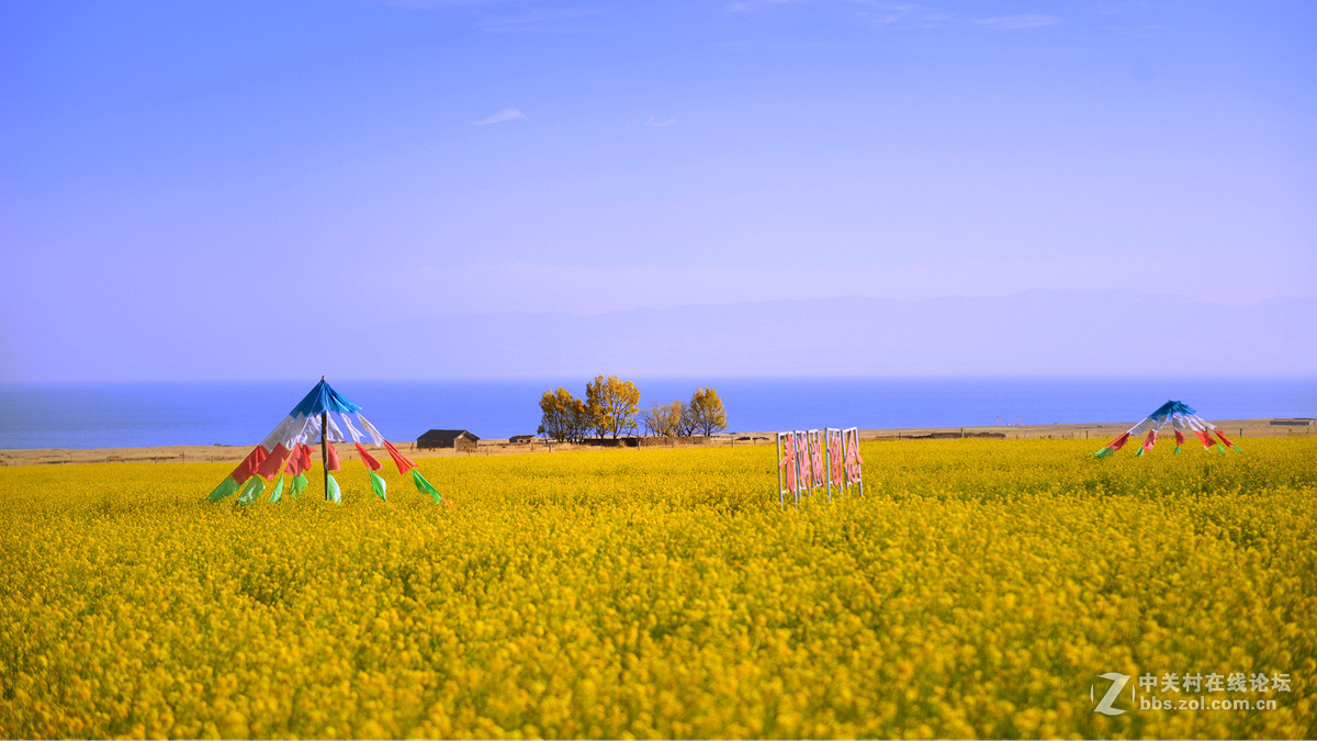 一组《青海湖》片贺红河星空(中国)开坛