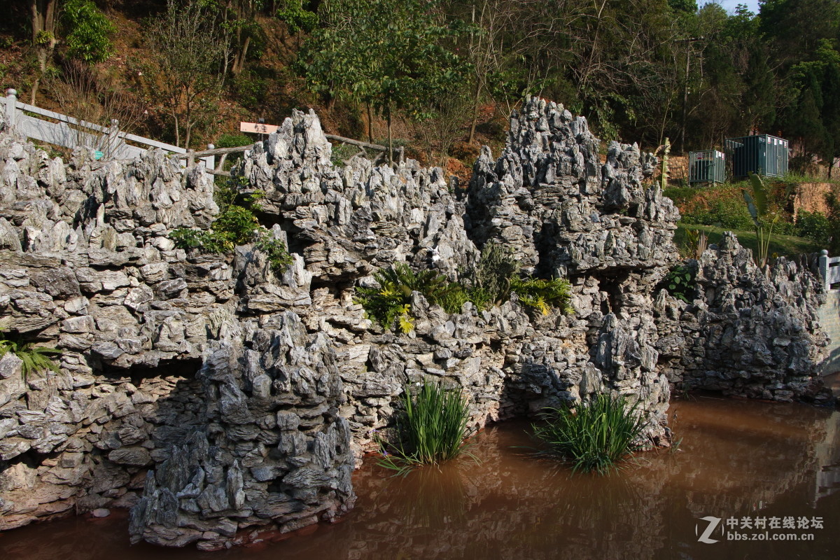 神光山4Ａ级森林公园随拍