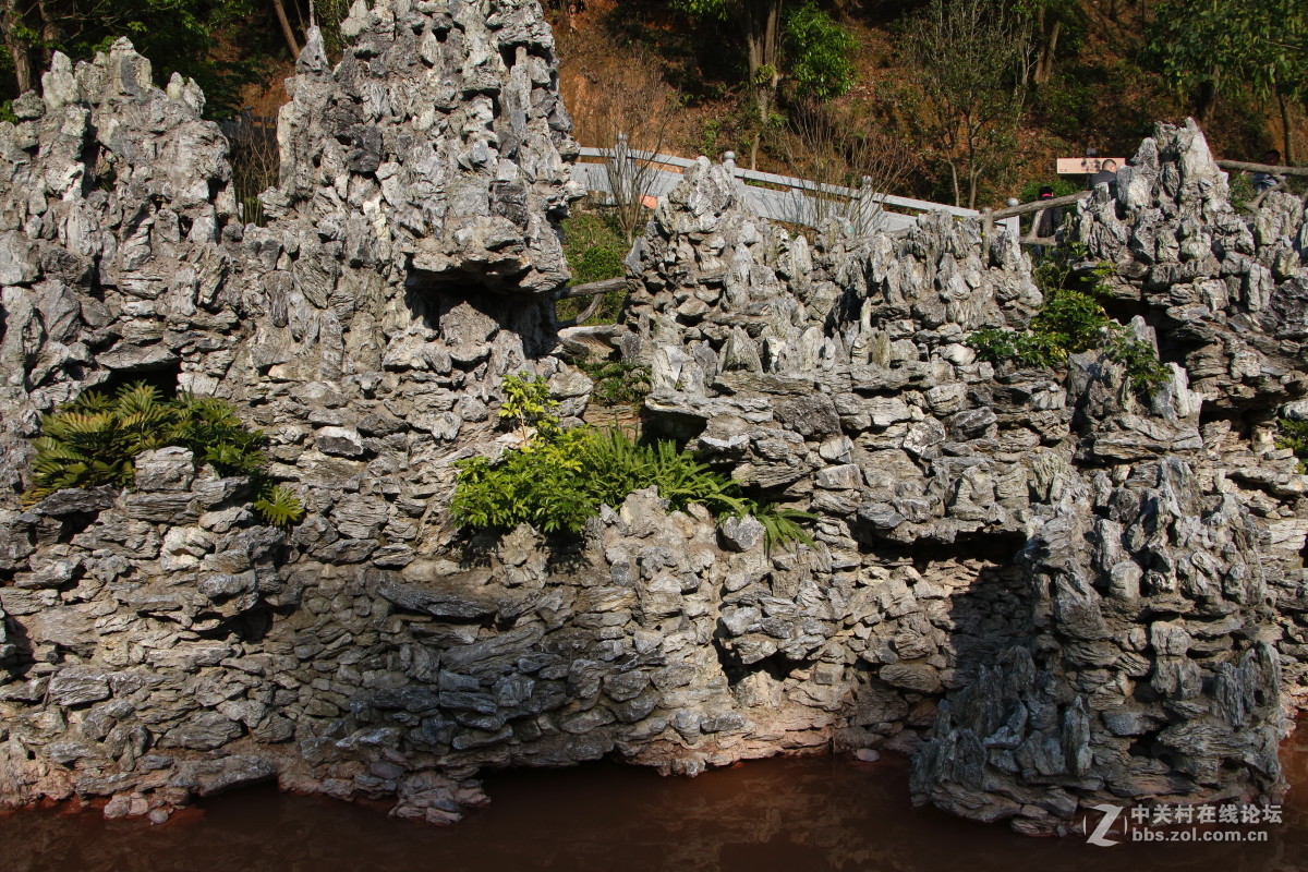 神光山4Ａ级森林公园随拍