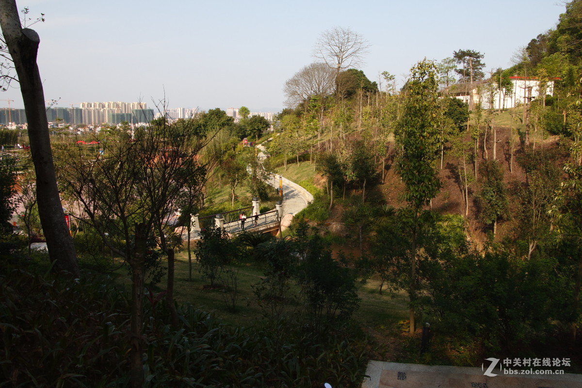 神光山4Ａ级森林公园随拍