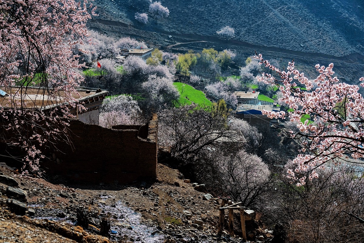 鲜花盛开的村庄---川藏行之觉巴村