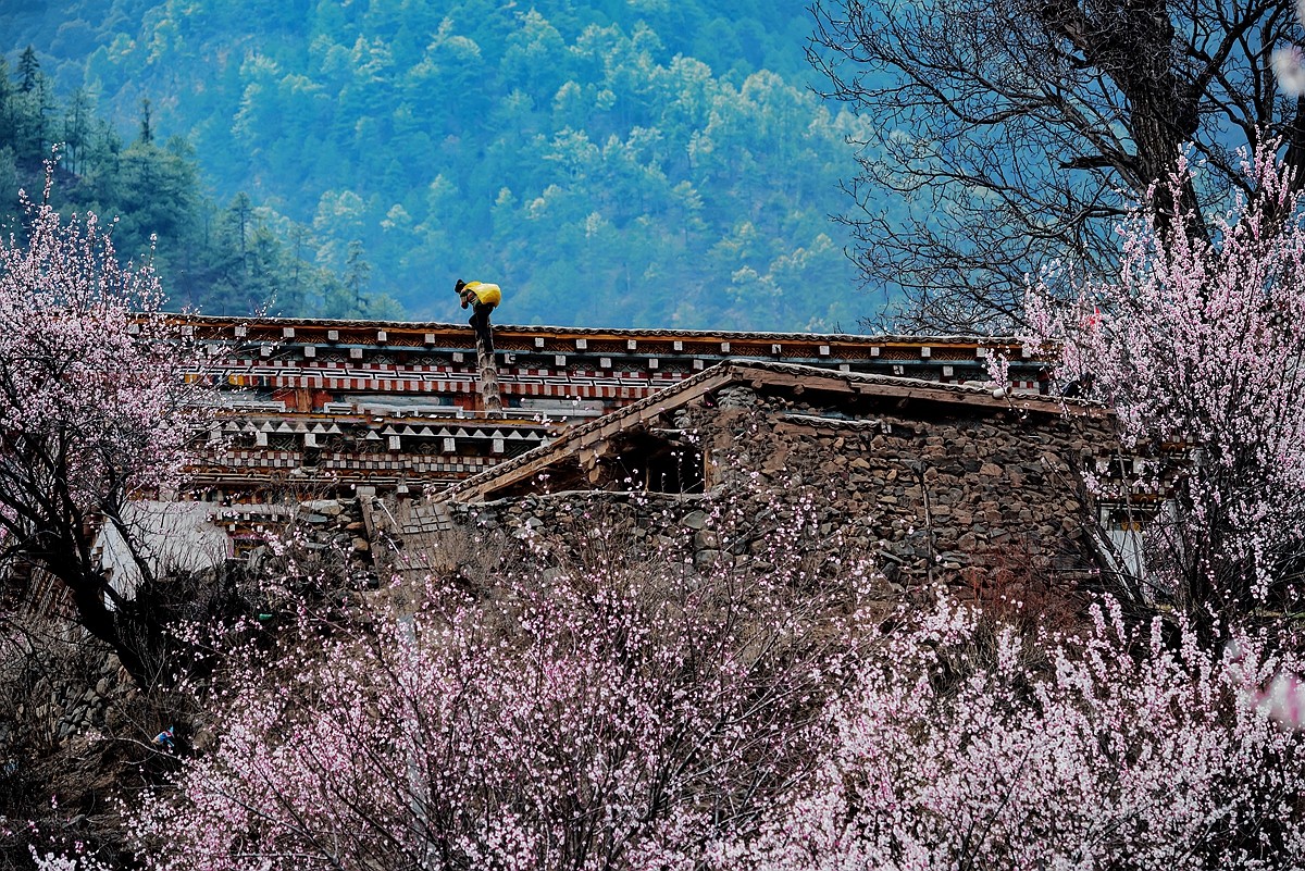 鲜花盛开的村庄---川藏行之觉巴村