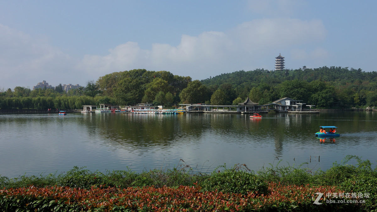 张公山公园随拍